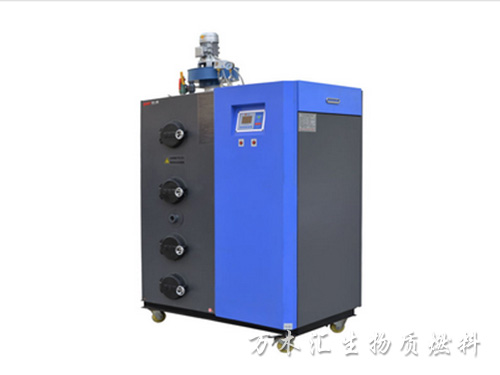 100KG生物質(zhì)蒸汽發(fā)生器